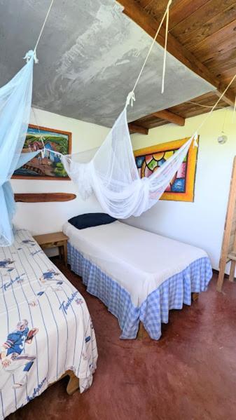 Hostel La Ballena Backpacker Лас-Галерас Экстерьер фото